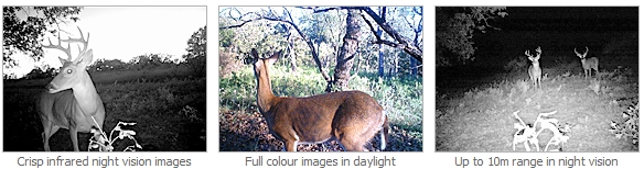 Swan Outback Cam com IR